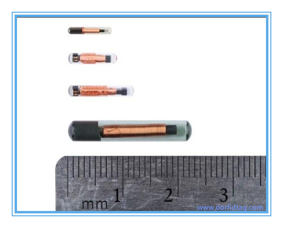 High Frequency PIT tags PIT Tags for Wildlife Research, Fisheries, Reptiles, Birds - Lowest Price